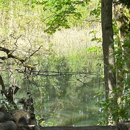 Bungalow Biberspur Zieko Εξωτερικό φωτογραφία