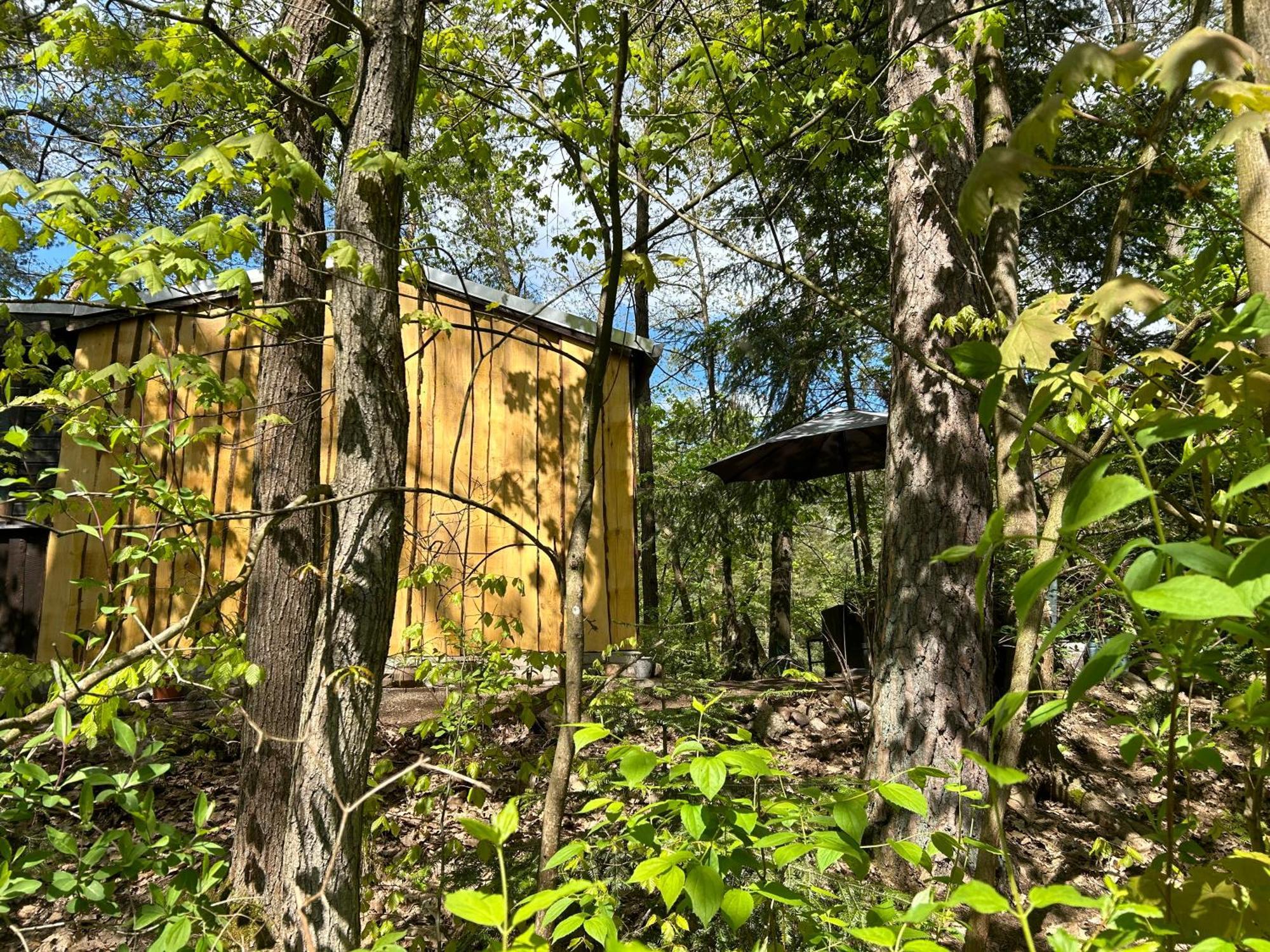Bungalow Biberspur Zieko Εξωτερικό φωτογραφία