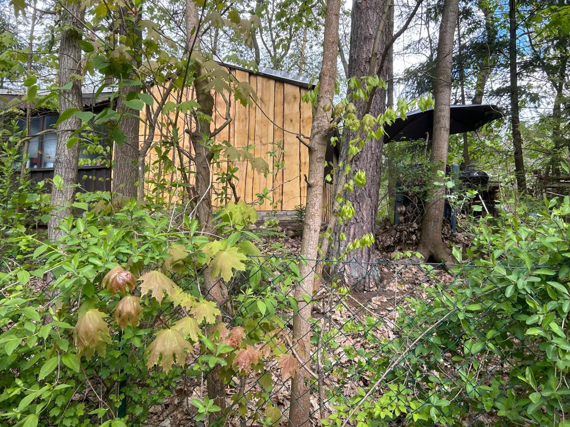 Bungalow Biberspur Zieko Εξωτερικό φωτογραφία